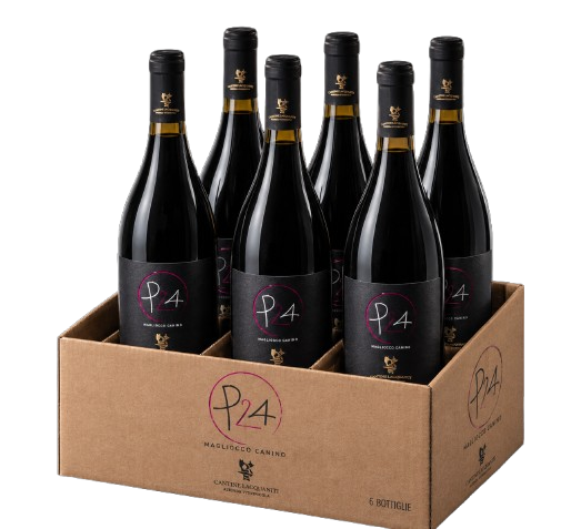 Cassa P24 6 bottiglie