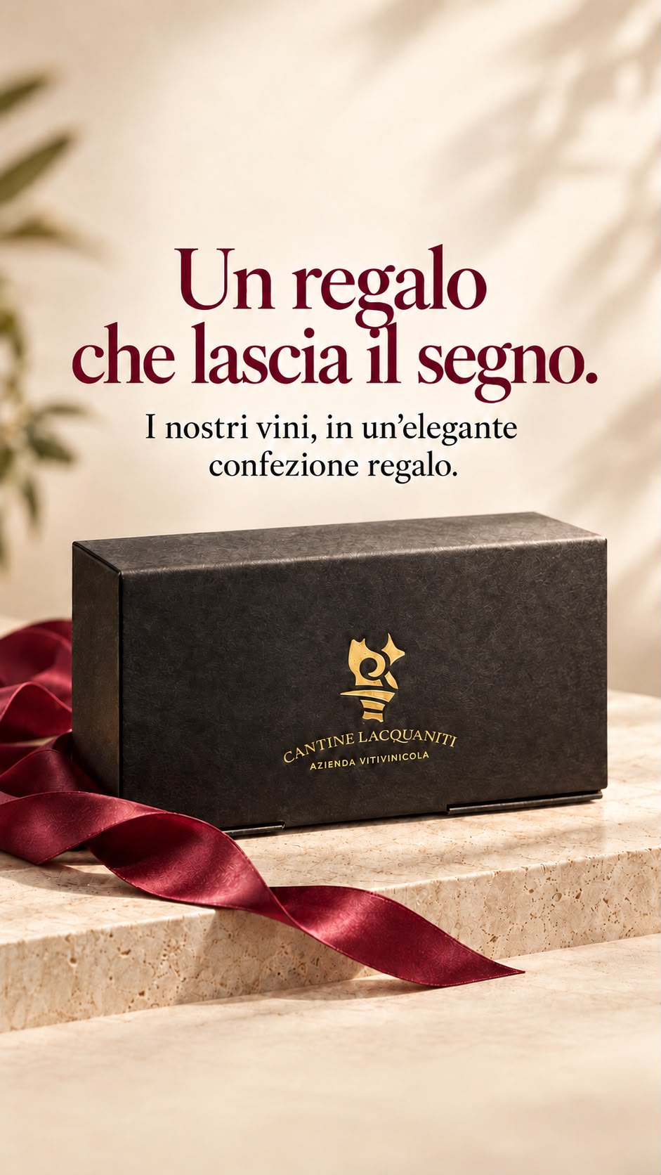 Confezione regalo elegante